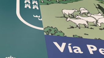 TRABAJOS via pecuaria