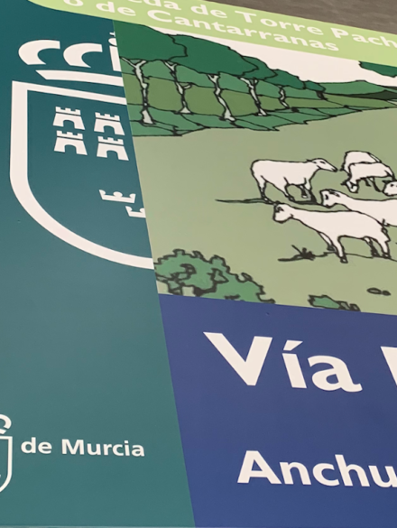 TRABAJOS via pecuaria